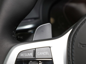 2022Ŀ 530Li xDrive M\(yn)(dng)b п؅^(q)