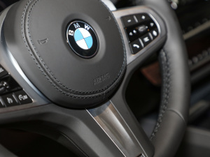 2022Ŀ 530Li xDrive M\(yn)(dng)b п؅^(q)