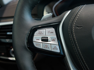 2022Ŀ 530Li  Ab п؅^