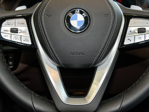 2022Ŀ 530Li  Ab п؅^(q)