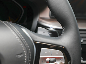 2022Ŀ 530Li I Ab п؅^