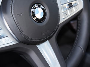 2022Ŀ 530Li I(lng) M\b п؅^(q)