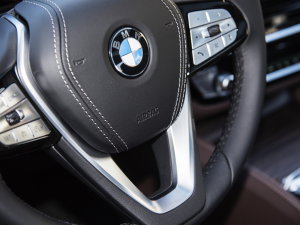 2022Ŀ 530Li  Ab п؅^