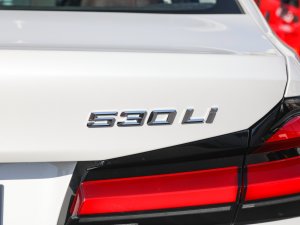 2022Ŀ 530Li xDrive Ab ^