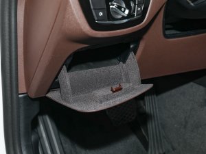 2022Ŀ 530Li xDrive Ab g