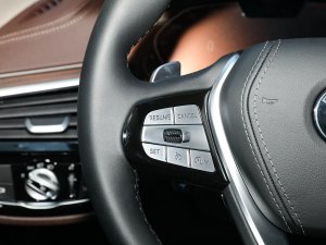 2022Ŀ 530Li xDrive Ab п؅^