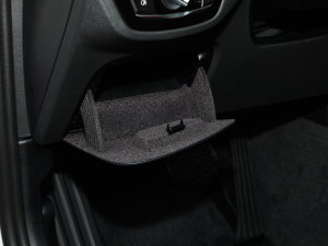 2022Ŀ 530Li xDrive M\b g