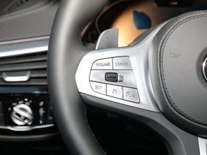 2022Ŀ 530Li  M\b п؅^