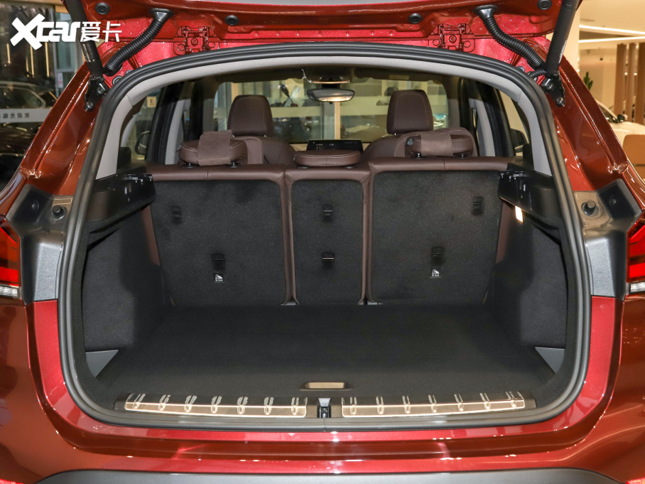 2022RX1 sDrive20Li 