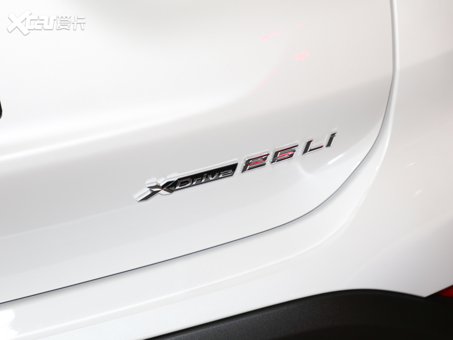 2022RX1 xDrive25Li 