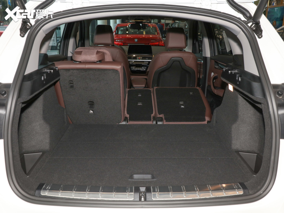 2022RX1 xDrive25Li 