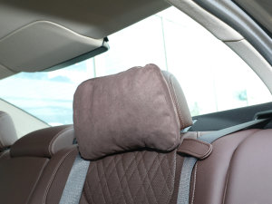 2023530Li xDrive Ab g