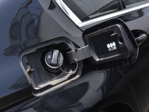 2023530Li I(lng) M\(yn)(dng)b w