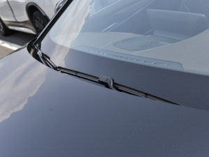 2023530Li I(lng) M\(yn)(dng)b ˢ