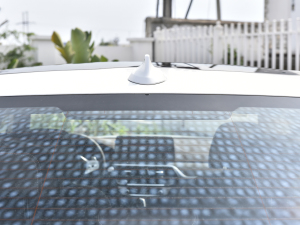 2023530Li  M\(yn)(dng)b (x)(ji)^