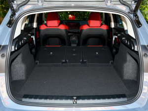 2023sDrive25Li M\b g