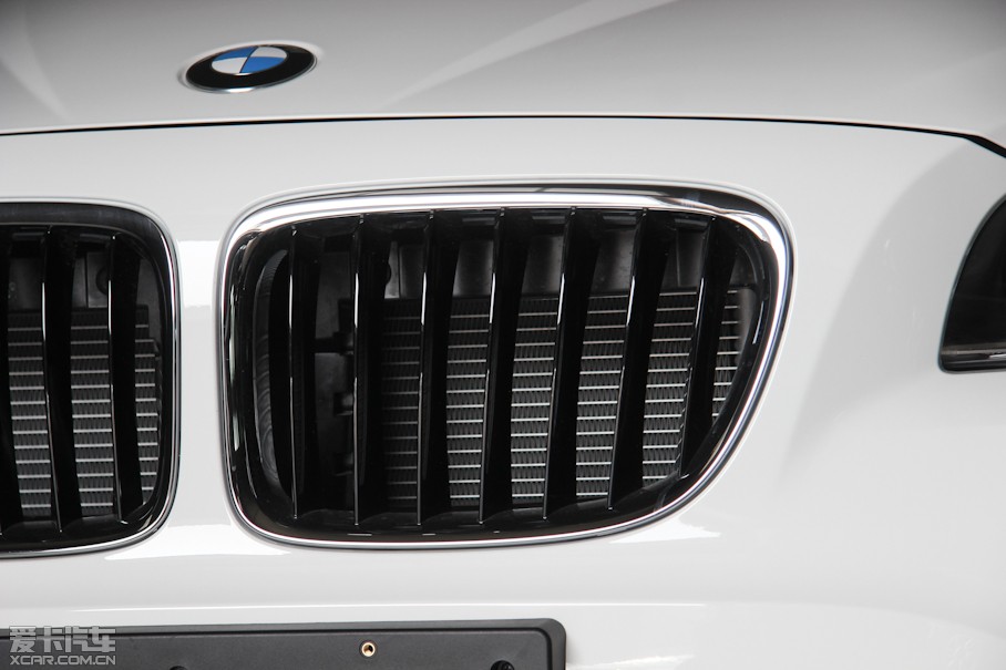 2013RX1 sDrive 20i \OӋb