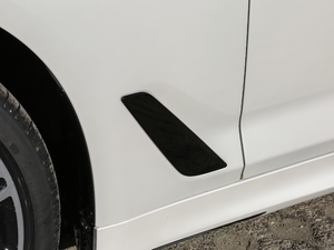 2018Ŀ 530Li I(lng) M\b (ji)^