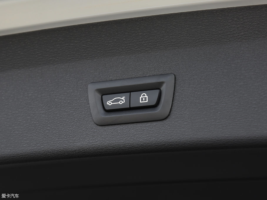 2018RX1 xDrive 25Li A