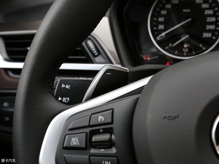 2018RX1 xDrive 25Li A