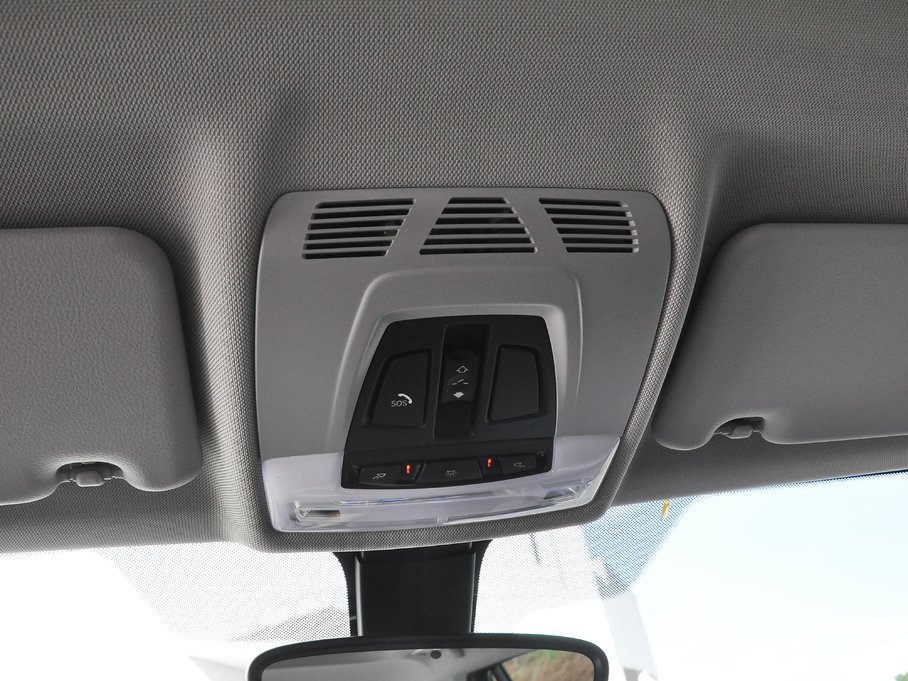 2018RX1 xDrive 20Li 