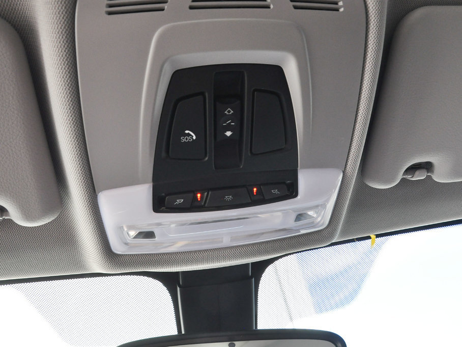 2018RX1 xDrive 20Li 