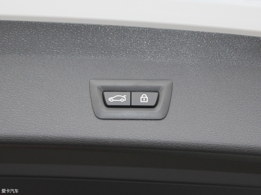 2018RX1 xDrive 20Li A