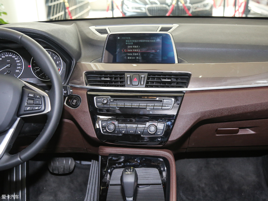 2018��RX1 xDrive 20Li ������