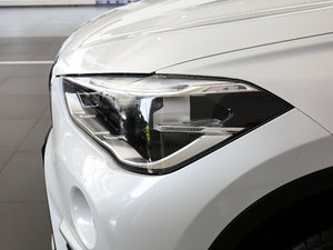 2018xDrive 25Le A (x)(ji)^