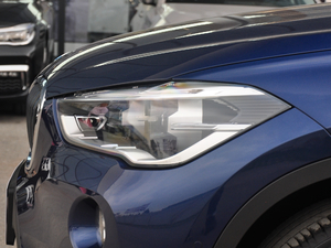 2018xDrive 25Le A (x)(ji)^