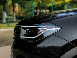 2019\Ӱ 300T ԄŞ 5 ^