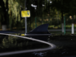 2019\Ӱ 300T ԄŞ 5 ^