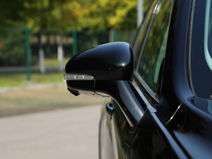 2019\Ӱ 300T ԄŞ 5 ^