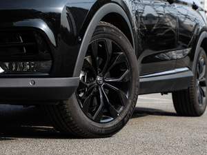 2019\(yn)(dng) 300T Ԅ(dng)Ş 5 (x)(ji)^