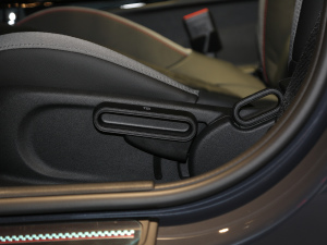 20212.0T JOHN COOPER WORKS ALL-IN {{(dio)(ji)