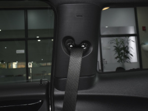 2022Ŀ 2.0T JOHN COOPER WORKS ALL-IN g