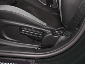 2022Ŀ 2.0T JOHN COOPER WORKS ALL-IN {{