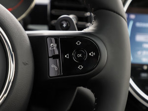 2023JOHN COOPER WORKS ULTIMATEKO  п؅^