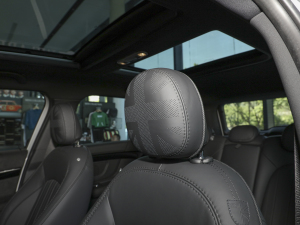 20232.0T JOHN COOPER WORKS ALL-IN g