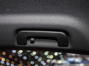 20192.9T Sportback VI g