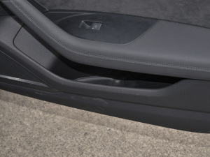 2021RS 6 4.0T Avant  g