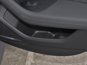 2021RS 6 4.0T Avant  g