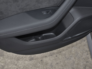 2021RS 6 4.0T Avant  g