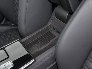 2021RS 6 4.0T Avant  g