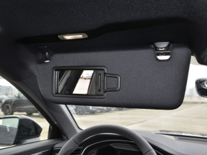 2021RS 6 4.0T Avant  g