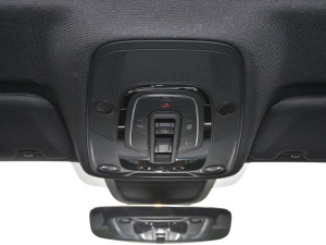 2021RS 6 4.0T Avant  g