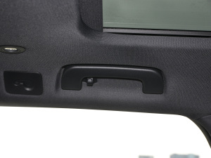 2021RS 6 4.0T Avant  g