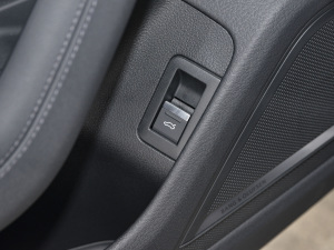 2021RS 6 4.0T Avant  g