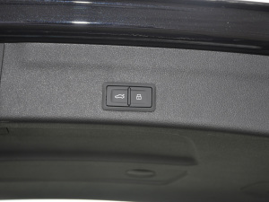 2021RS 6 4.0T Avant  g