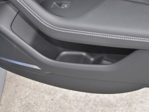 2021RS 6 4.0T Avant  g